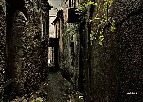 turistipercaso 12_Tra_i_vicoli_di_Cardinale