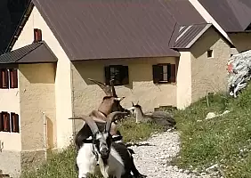 turistipercaso 18_Rifugio_Bergamo