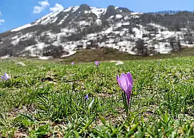 turistipercaso 19.04_23_