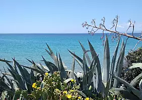 turistipercaso 11