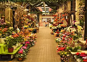 turistipercaso BLOG_Goriziacitta_ANNACUM_01