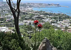 turistipercaso Ischia_Panorama_di_Forio_dai_Giardini_La_Mortella