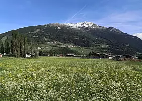 turistipercaso prati_fioriti_a_Bormio