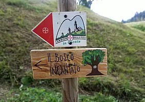turistipercaso segnaviaCamminoPieviebosco