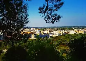 turistipercaso x_21_