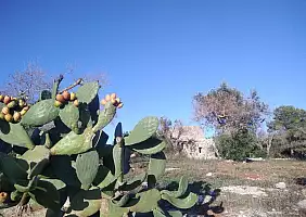 turistipercaso y_19_