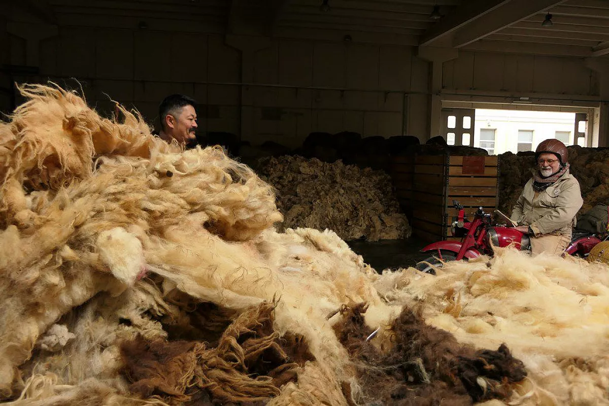 Wool Company