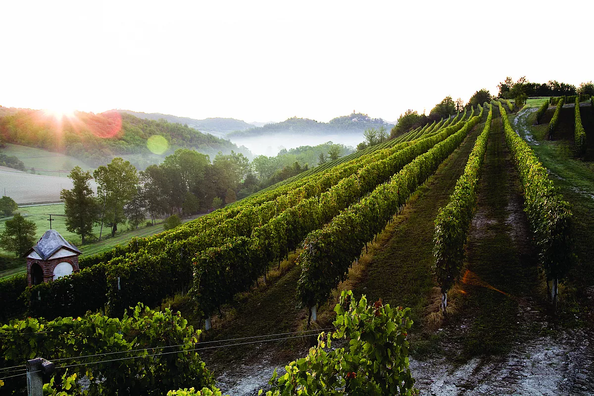 Monferrato Alessandrino