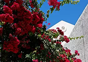 turistipercaso M_galo_Chori_Tilos
