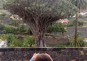turistipercaso IMG_20220217_155728