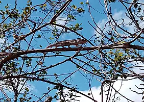 turistipercaso IMG_20220825_103633