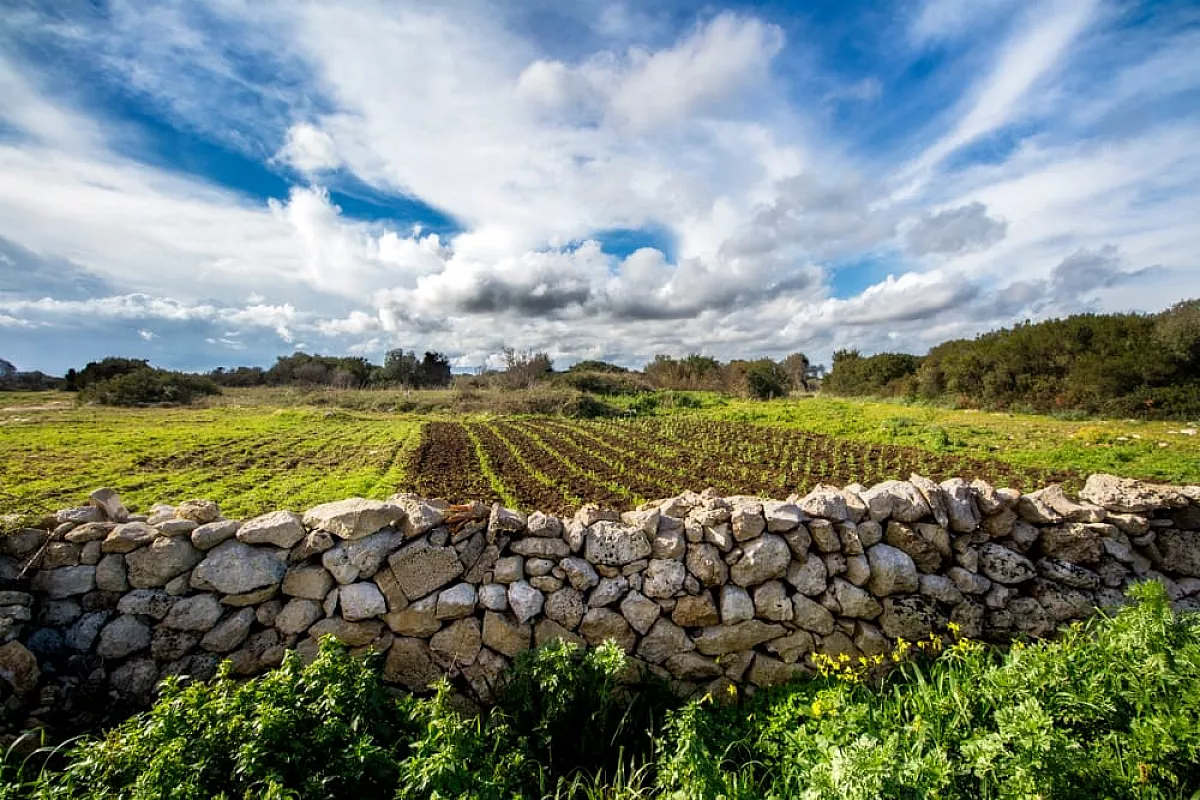 Salento