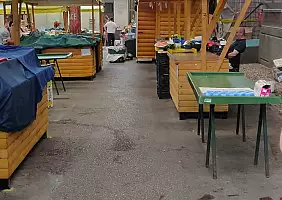 turistipercaso 4
