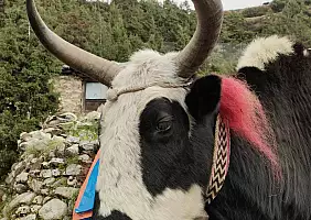 turistipercaso 168EBC_Nepal_Pangboche