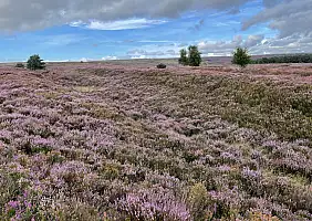 turistipercaso 1803_Blakey_Ridge