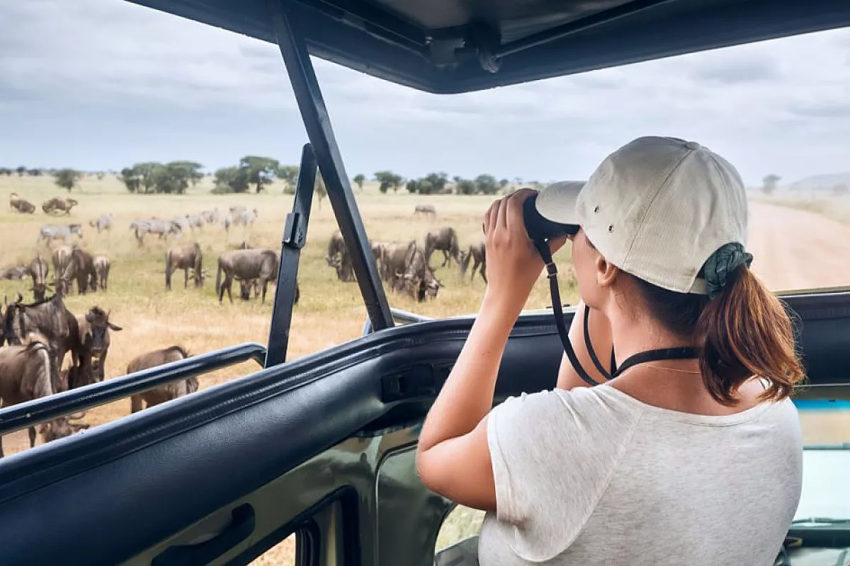 Safari in Kenya