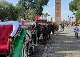turistipercaso 314408637_10225186311423112_7929617691785244208_n