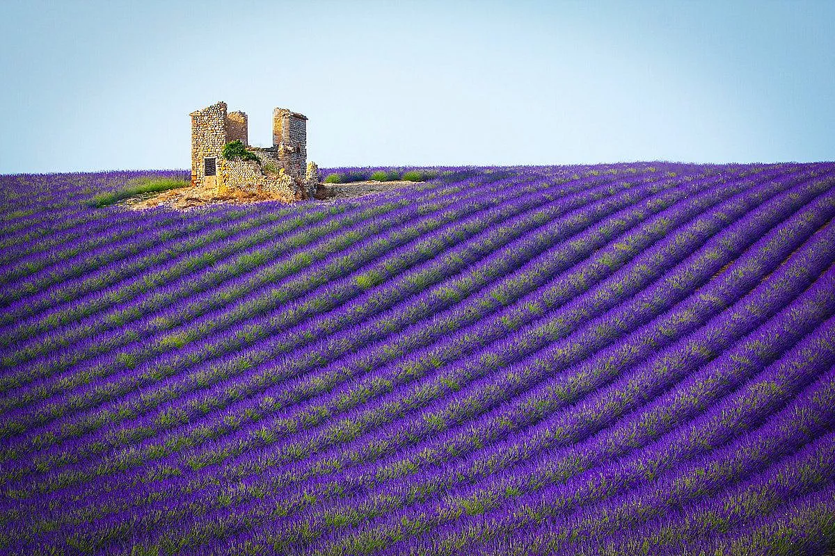 7 giorni in provenza