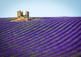turistipercaso 7 giorni in provenza