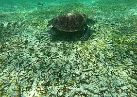 turistipercaso GOPR0463