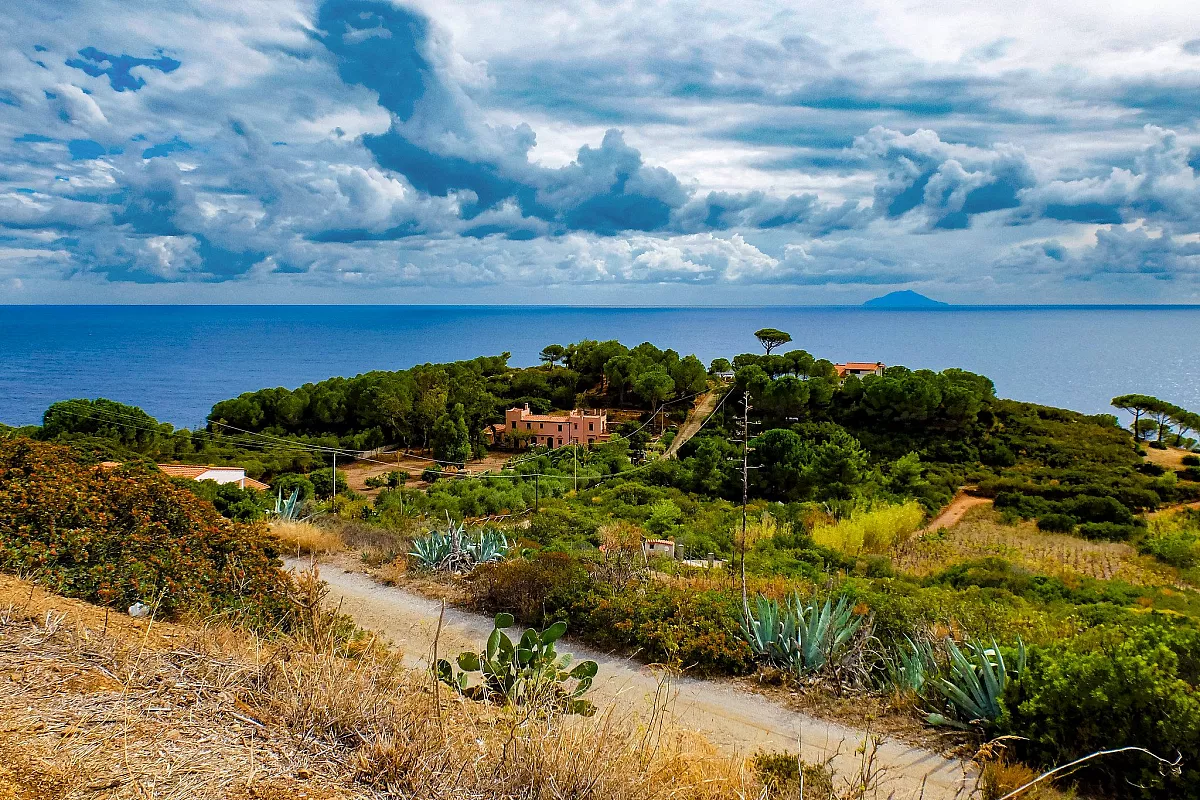 Isola di Montecristo