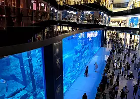 turistipercaso L_acquario_del_Dubai_Mall