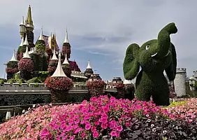 turistipercaso Nei_Miracle_Garden_a_Dubai