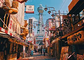 turistipercaso Osaka