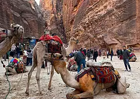 turistipercaso WhatsApp_Image_2023_03_13_at_12.40.39_1_