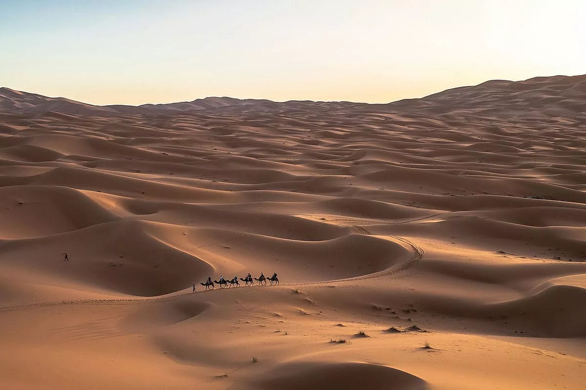 arabia saudita