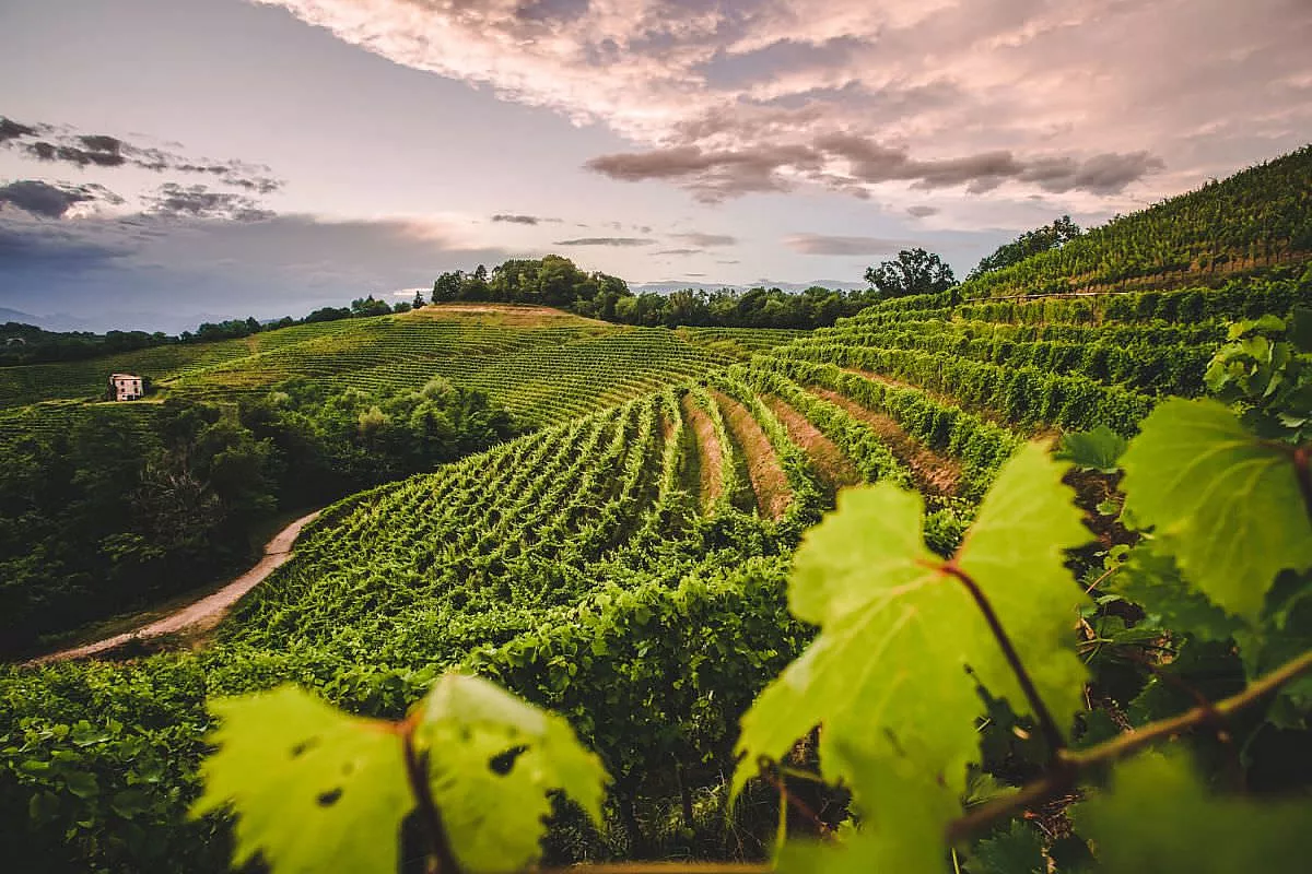 friuli-venezia giulia