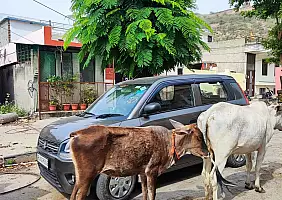 turistipercaso IMG_20230426_092333