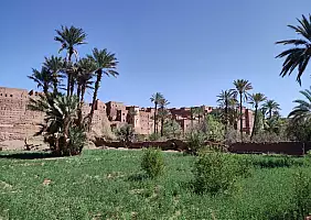 turistipercaso Marocco_Tamnougalt_e_la_sua_oasi
