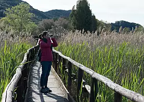 turistipercaso Pisa e dintorni (35)