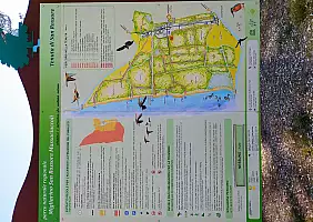 turistipercaso Pisa e dintorni (58)
