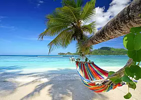 turistipercaso Mahe,Island,,Seychelles,-,Romantic,Cozy,Hammock,In,The,Shadow