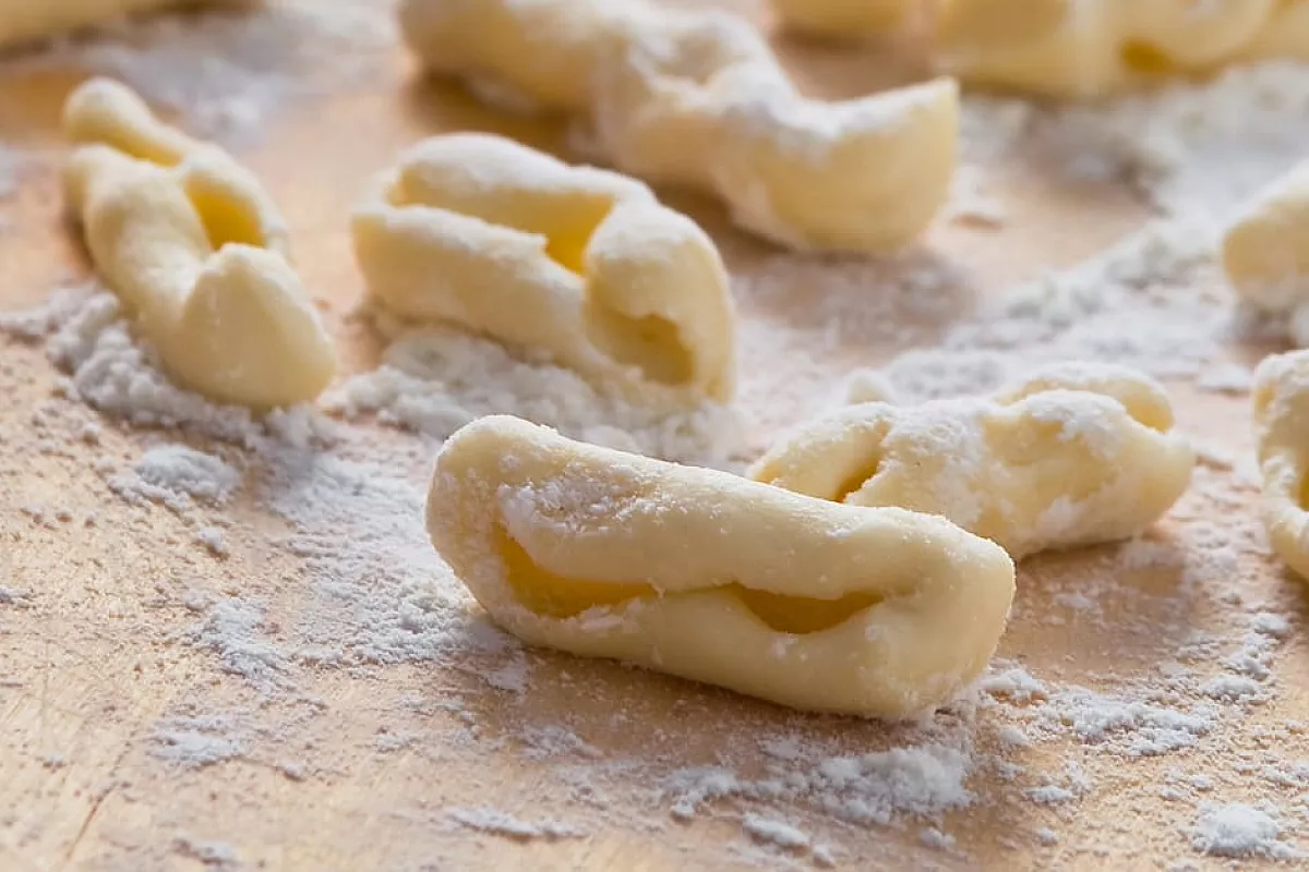 cicatelli