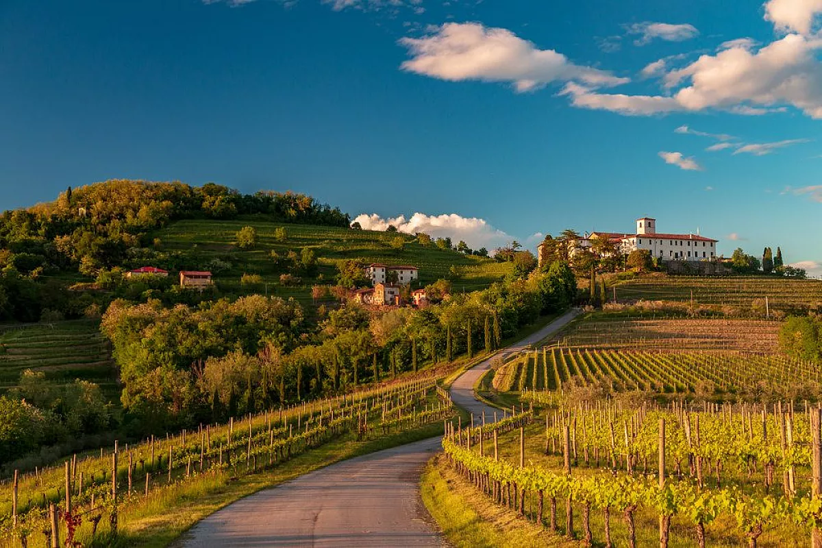 Collio Friuli