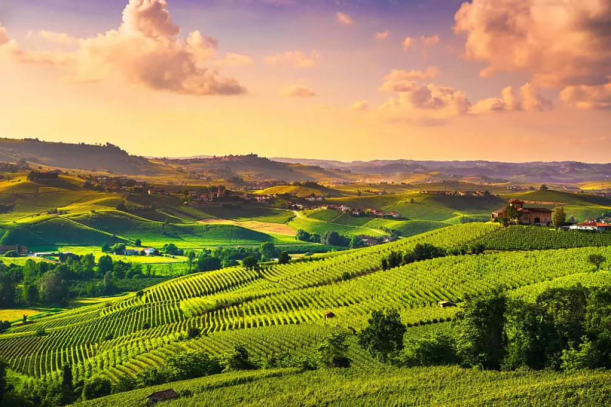 Langhe
