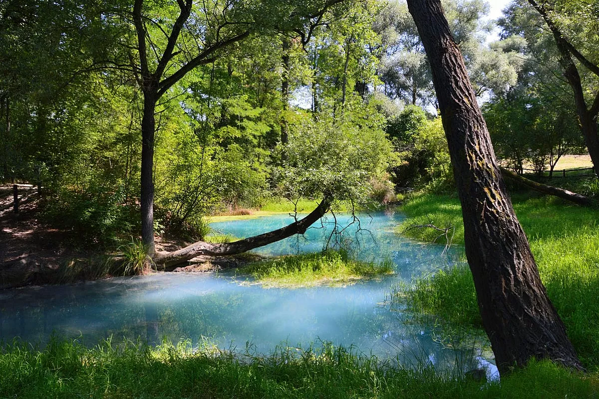 Parco del Lavino
