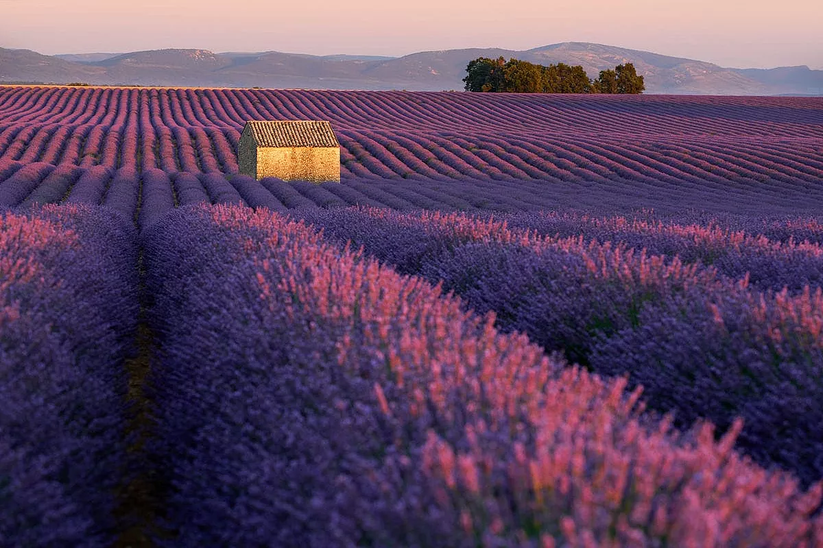 Provenza