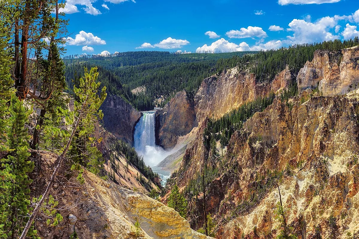 Yellowstone