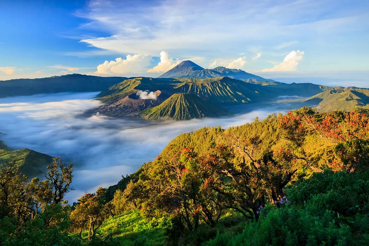 Indonesia