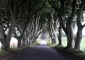 turistipercaso The dark hedges