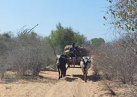 turistipercaso 20220919_100231