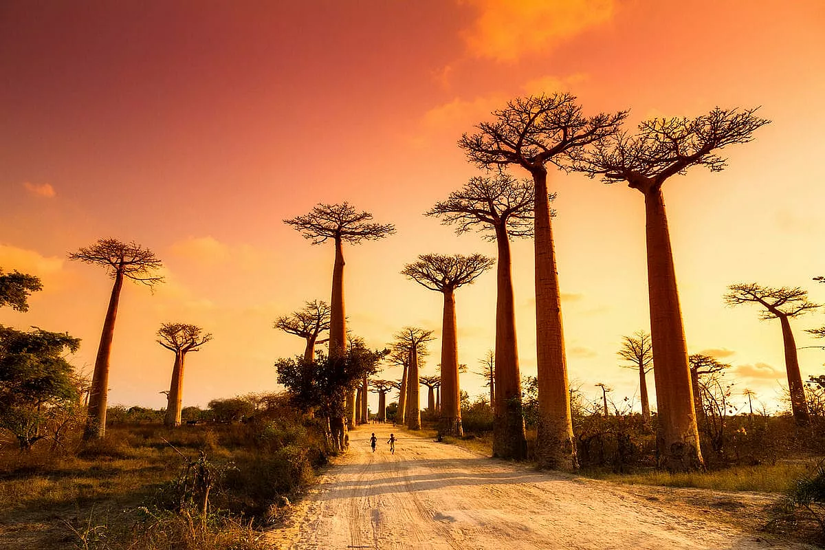 5 paesi piu belli africa