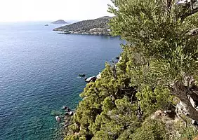 turistipercaso Agioi_Anargiroi_Alonissos
