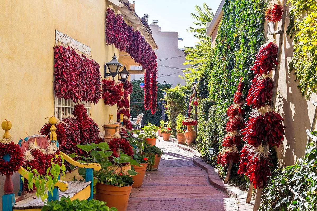 Albuquerque