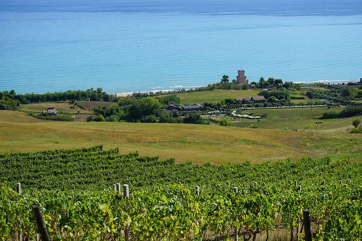 Colline Teramane
