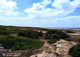 turistipercaso IMG_20210817_175205_1_